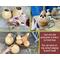 This shows the unfinished dried gourds. The tops are cut open to reveal the dried seeds and membrane being removed before carving the face.
